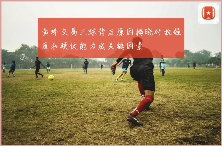 黄蜂交易三球背后原因揭晓对抗强度和硬仗能力成关键因素